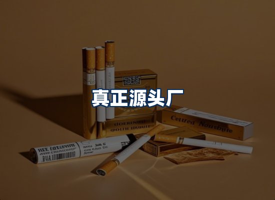 专业团队办公环境